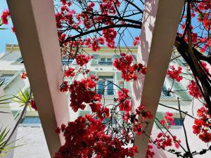 Hotels Hotel De Londres : photos des chambres
