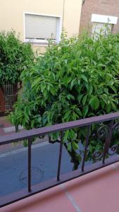 Nice Apartment 2 Bedrooms Well Connected