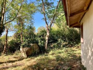 Appartements Plein coeur de la nature ~ Jacuzzi Prive 24h/24h : photos des chambres