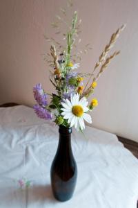 Rooms Pevc & Hostel Ljubno ob Savinji