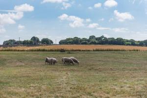 The Bothy - Charming home on a working farm