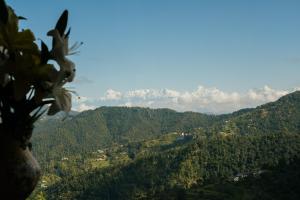 SaffronStays The Clairmont Cottage,Mukteshwar