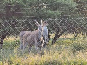 Seasara Guest Farm