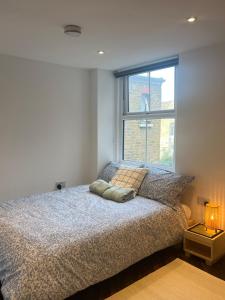 Spacious Battersea Rooms and Apartments