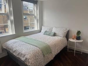 Spacious Battersea Rooms and Apartments