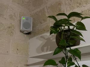 La Mattonella Monella