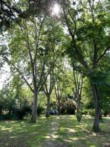 B&B / Chambres d'hotes Petit chateau Le Piot : photos des chambres