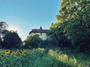 B&B / Chambres d'hotes Petit chateau Le Piot : photos des chambres