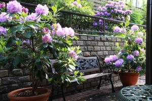 Boutique Vila Artemide