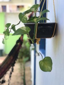 Hostel Flor da Vida