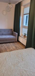 Apartament 6