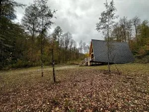Araucaria Lodge - Curacautín