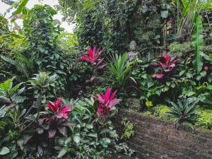 CREATE @1111 Barong - one bedroom inspiring space