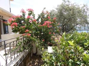 Villa Elli Panoramic View Corfu Greece