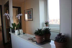 Centro città, vista, free park.