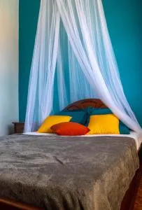 T2 des Tortues - Mathurin Noël