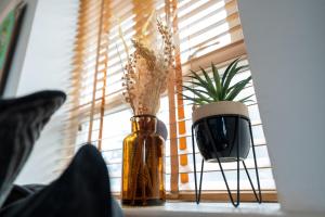 Artistic stunning apartment city view