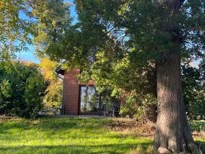 Ferienhaus Waldschlösschen - Stangheck