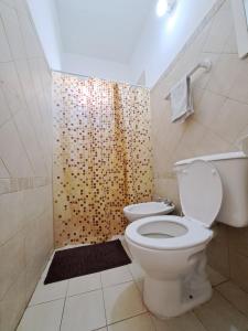 José Ingenieros 1175