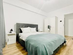 SILVER APARTMENT Sinaia