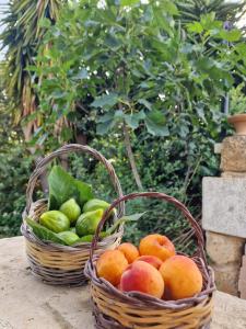 obrázek - Masseria Vivi il Salento