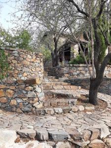 FIKARDOU ALMOND PARK