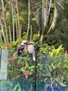 Absolute Beach Front Home -Dogs, Surf, Relax, Bush