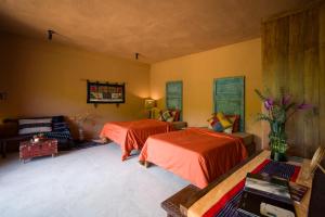 Phòng 2 Giường Đơn Nhìn Ra Khu Vườn (Twin Room with Garden View)