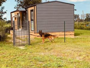 Holiday Home by Szczecin Lagoon with Garden