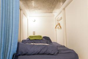 Hostel Lodging Tokyo Uguisudani