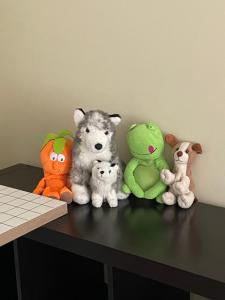 Apartament 2 camere Mogoșoaia