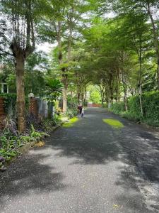 KhaoYai Treescape Retreat คอนโดบ้านชลธารเขาใหญ่ 2 ห้องนอน 2ห้องน้ำ 88ตารางเมตร ถนนธนะรัชต์