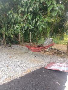 Cp homestay