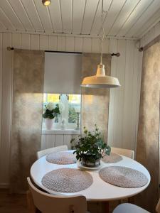 Lilla gröna huset på gården