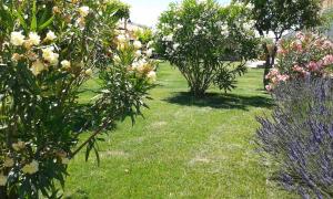 Maisons de vacances A 5 Minutes des Ocres Gite La Charite Gordes Roussillon : photos des chambres