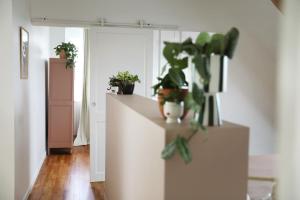 Sejours chez l'habitant Chambres dans maison familiale a Plougastel Dalouas, a 20 minutes de Brest : photos des chambres