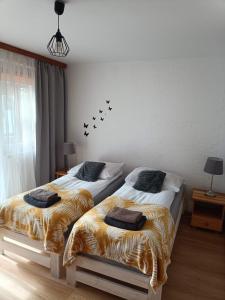 Apartament Leśny