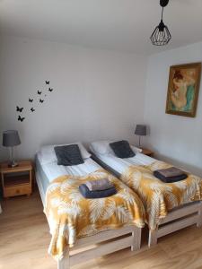 Apartament Leśny