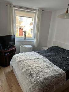 Apartament Centrum