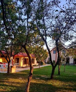 Pensiunea Casa Noastra