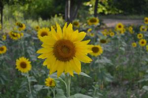 B&B / Chambres d'hotes Bed and Breakfast Le Moulin De Champdurand : photos des chambres