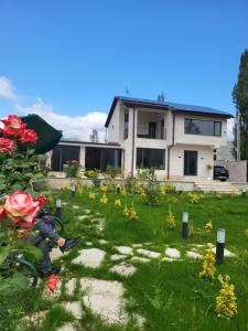 Dili Dream Villa Resort