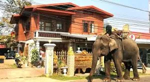 Khamphouy Guesthouse - Ban Thapcham