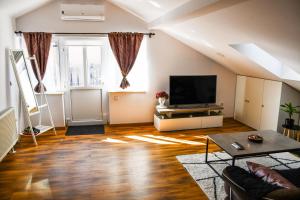 Studio apartment OAZA