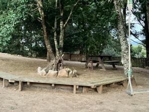 Atlantic Nest Poiares