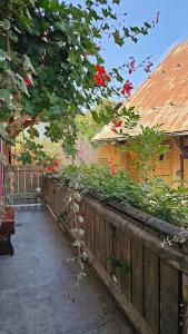 Maisons de vacances Le Banc Des Seilles : photos des chambres