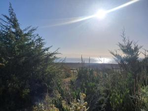 In riva al mare img27