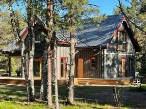 Luxury Villa Pitraga Viļņi - Lielirbe