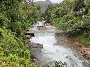 900 Woods Wayanad Eco Resort - A Sprawling Jungle Stay near Glass Bridge