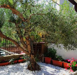 Le Sorgenti Guest House img19